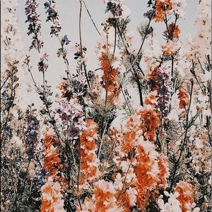 Meet your Posher, Sidney